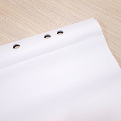 Бумага для флипчарта 20 листов Durable, 65 х 100 см