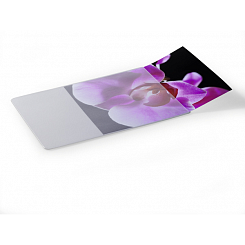 Коврик для мыши Durable Mouse Pad Plus, с карманом для фотографии, 2,5 x 300 x 200 мм