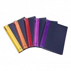 Папка Durable Duralook Color, с 60 впаянными карманами, А4, корешок 28 мм, полипропилен